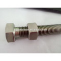 M10, M12 A4 hex BOLT, Sechskantschraube mit Edelstahl